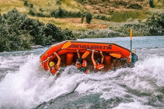 Wildlife on the Nile